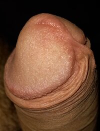 20240805_071933.jpg