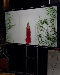 vlcsnap-2024-11-18-15h28m55s350.jpg