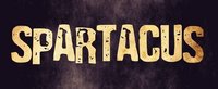 Spartacus banner.jpg