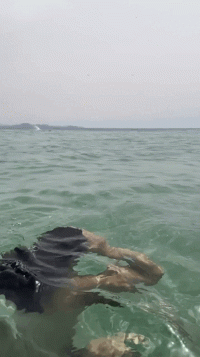 IMG_0535.gif
