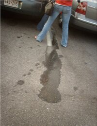 (27).JPG
