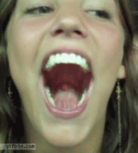 14081311.gif