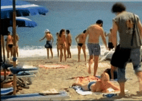photo6049395.gif
