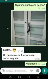 Cattura.JPG