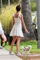 ana-de-armas-and-ben-affleck-out-with-their-dog-in-los-angeles-05-25-2020-1.jpg