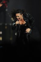 demi lovato in concerto 11.jpg