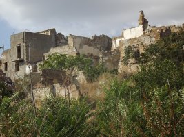 IMG_6601.jpg