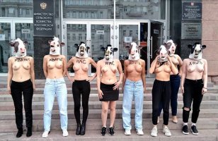 mascaravacas.jpeg