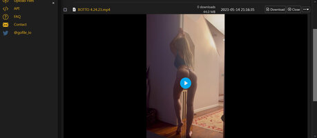 screenshot-gofile.io-2023.05.14-21_18_27.jpg