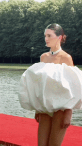 04336937ee4249d0b0ad352195fa3c75.md.gif