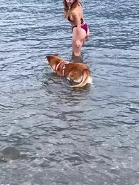 VideoCapture_20230802-124130.jpg