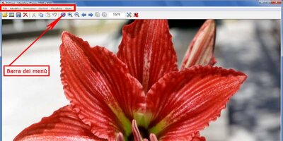 irfanview-3.jpg