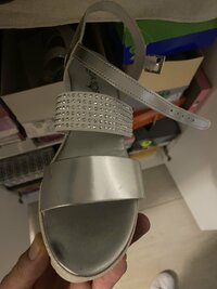IMG_6227.jpeg
